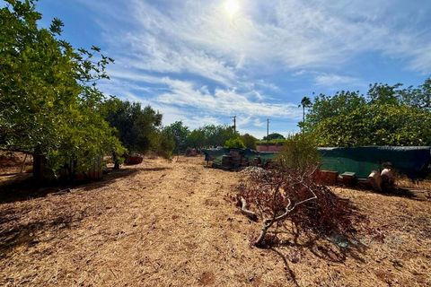 Villa i Almancil, Faro, Almancil - € 1.275.000 | Ref: CAS_843 - foto 19