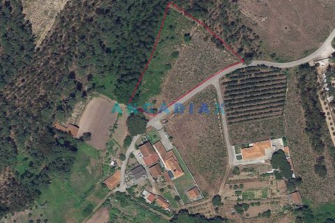 Helårsgrund i Leiria, Leiria, Leiria - € 52.000 | Ref: ANG1017 - foto 2