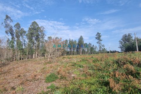 Helårsgrund i Leiria, Leiria, Leiria - € 52.000 | Ref: ANG1017 - foto 8