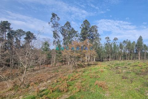 Helårsgrund i Leiria, Leiria, Leiria - € 52.000 | Ref: ANG1017 - foto 3
