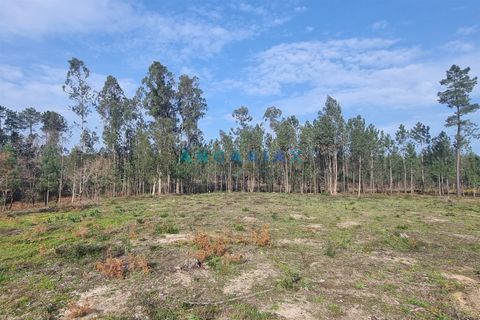 Helårsgrund i Leiria, Leiria, Leiria - € 52.000 | Ref: ANG1017 - foto 9