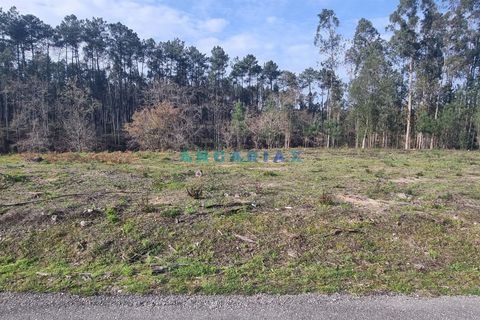 Helårsgrund i Leiria, Leiria, Leiria - € 52.000 | Ref: ANG1017 - foto 4