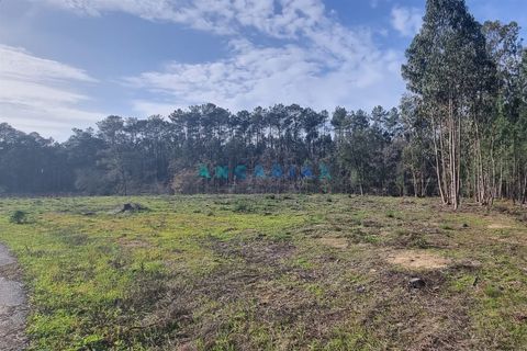 Helårsgrund i Leiria, Leiria, Leiria - € 52.000 | Ref: ANG1017 - foto 10