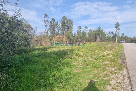 Helårsgrund i Leiria, Leiria, Leiria - € 52.000 | Ref: ANG1017 - foto 12