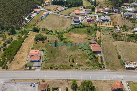 Helårsgrund i Leiria, Leiria, Leiria - € 235.000 | Ref: ANG1480 - foto 16