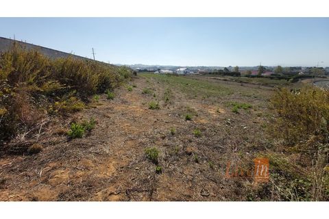 Helårsgrund i Mafra, Lisbon, Mafra - € 350.000 | Ref: 9816IA - foto 3