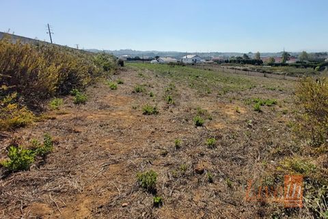 Helårsgrund i Mafra, Lisbon, Mafra - € 350.000 | Ref: 9816IA - foto 4