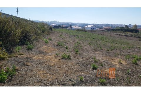 Helårsgrund i Mafra, Lisbon, Mafra - € 350.000 | Ref: 9816IA - foto 7