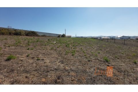 Helårsgrund i Mafra, Lisbon, Mafra - € 350.000 | Ref: 9816IA - foto 8