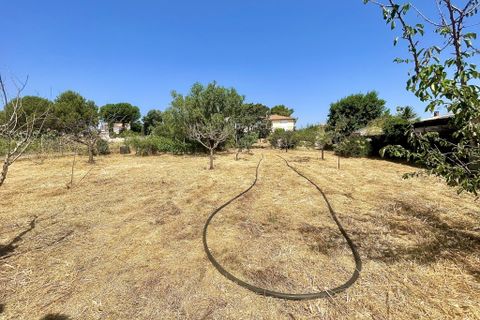 Villa i Servian, Herault, Servian - € 425.000 | Ref: V10002332 - foto 15