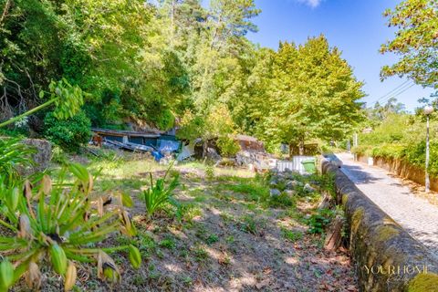 Helårsgrund i Sintra, Lisbon, Sintra - € 280.000 | Ref: KWPT-021653 - foto 5