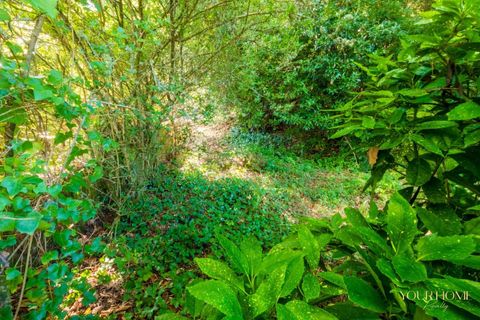 Helårsgrund i Sintra, Lisbon, Sintra - € 280.000 | Ref: KWPT-021653 - foto 7