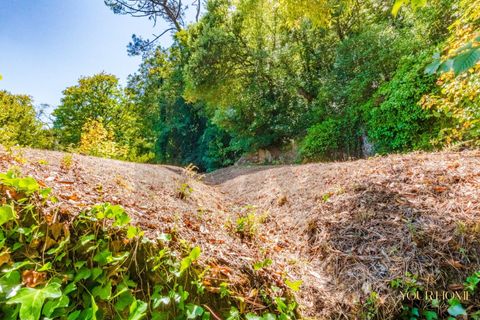 Helårsgrund i Sintra, Lisbon, Sintra - € 280.000 | Ref: KWPT-021653 - foto 11