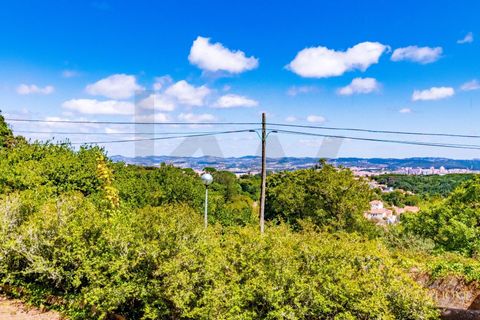 Helårsgrund i Sintra, Lisbon, Sintra - € 280.000 | Ref: KWPT-021653 - foto 12