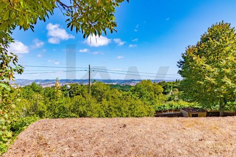 Helårsgrund i Sintra, Lisbon, Sintra - € 280.000 | Ref: KWPT-021653 - foto 14