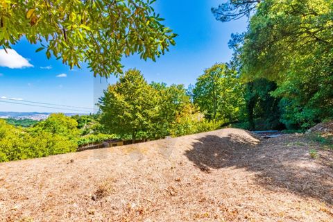 Helårsgrund i Sintra, Lisbon, Sintra - € 280.000 | Ref: KWPT-021653 - foto 15