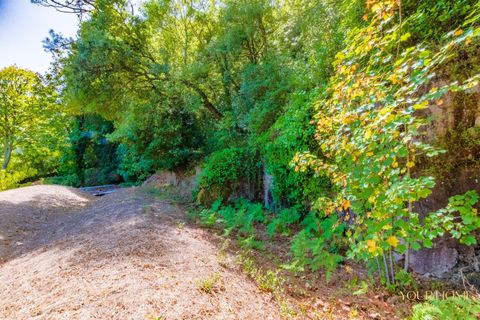 Helårsgrund i Sintra, Lisbon, Sintra - € 280.000 | Ref: KWPT-021653 - foto 16
