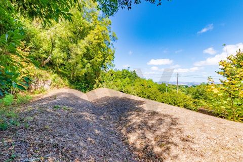 Helårsgrund i Sintra, Lisbon, Sintra - € 280.000 | Ref: KWPT-021653 - foto 18