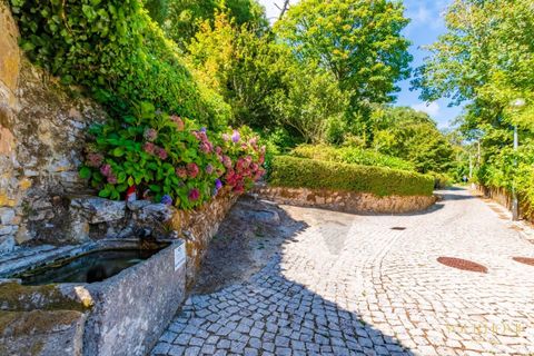 Helårsgrund i Sintra, Lisbon, Sintra - € 280.000 | Ref: KWPT-021653 - foto 21