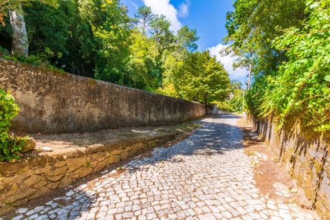 Helårsgrund i Sintra, Lisbon, Sintra - € 280.000 | Ref: KWPT-021653 - foto 22