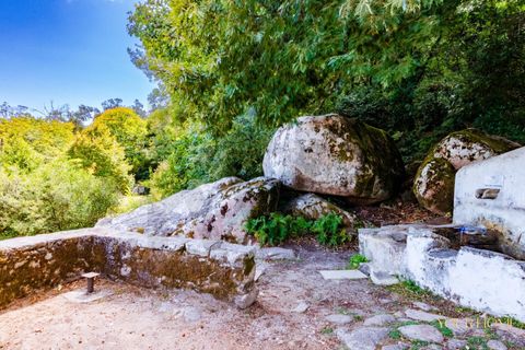 Helårsgrund i Sintra, Lisbon, Sintra - € 280.000 | Ref: KWPT-021653 - foto 24