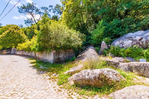 Helårsgrund i Sintra, Lisbon, Sintra - € 280.000 | Ref: KWPT-021653 - foto 25