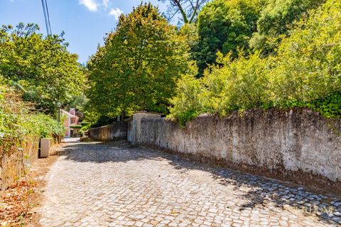 Helårsgrund i Sintra, Lisbon, Sintra - € 280.000 | Ref: KWPT-021653 - foto 26