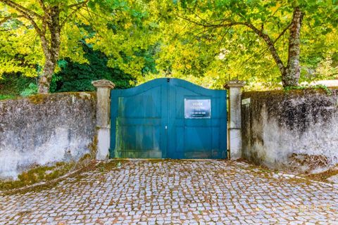 Helårsgrund i Sintra, Lisbon, Sintra - € 280.000 | Ref: KWPT-021653 - foto 27
