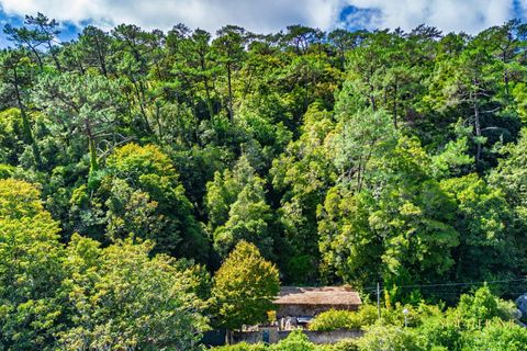 Helårsgrund i Sintra, Lisbon, Sintra - € 280.000 | Ref: KWPT-021653 - foto 35
