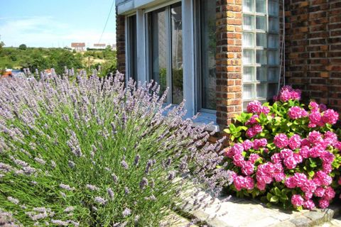 Villa a Ault, Somme, Ault - € 445.000 | Ref: A5990 - foto 25