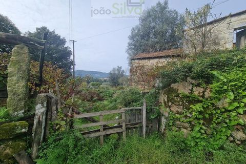 Farm i Ponte de Lima, Viana do Castelo, Ponte de Lima - € 60.000 | Ref: CAS_1875 - foto 2