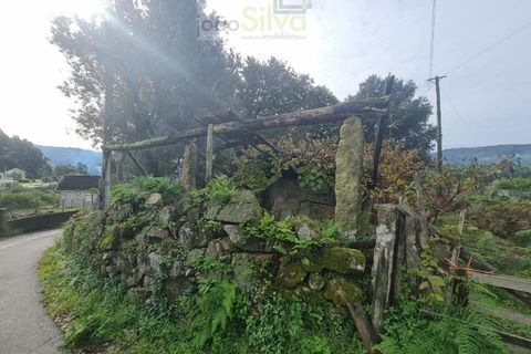 Farm i Ponte de Lima, Viana do Castelo, Ponte de Lima - € 60.000 | Ref: CAS_1875 - foto 4