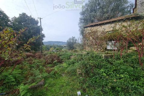Farm i Ponte de Lima, Viana do Castelo, Ponte de Lima - € 60.000 | Ref: CAS_1875 - foto 5
