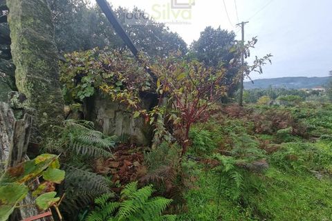 Farm i Ponte de Lima, Viana do Castelo, Ponte de Lima - € 60.000 | Ref: CAS_1875 - foto 6