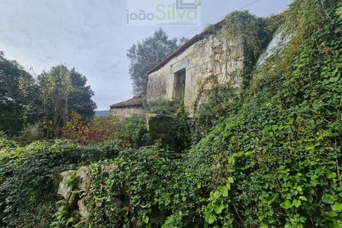 Farm i Ponte de Lima, Viana do Castelo, Ponte de Lima - € 60.000 | Ref: CAS_1875 - foto 7