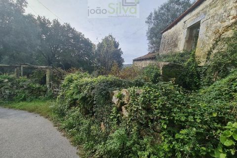 Farm i Ponte de Lima, Viana do Castelo, Ponte de Lima - € 60.000 | Ref: CAS_1875 - foto 8