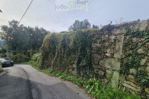Farm i Ponte de Lima, Viana do Castelo, Ponte de Lima - € 60.000 | Ref: CAS_1875 - foto 9