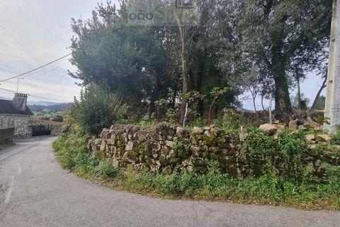 Farm i Ponte de Lima, Viana do Castelo, Ponte de Lima - € 60.000 | Ref: CAS_1875 - foto 10