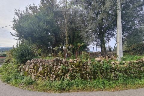 Farm i Ponte de Lima, Viana do Castelo, Ponte de Lima - € 60.000 | Ref: CAS_1875 - foto 11