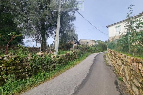 Farm i Ponte de Lima, Viana do Castelo, Ponte de Lima - € 60.000 | Ref: CAS_1875 - foto 12