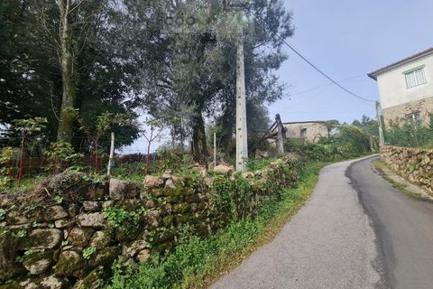Farm i Ponte de Lima, Viana do Castelo, Ponte de Lima - € 60.000 | Ref: CAS_1875 - foto 13
