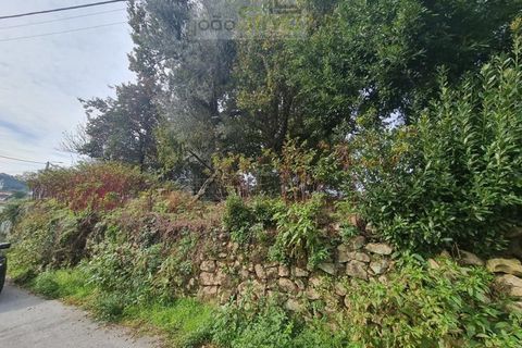 Farm i Ponte de Lima, Viana do Castelo, Ponte de Lima - € 60.000 | Ref: CAS_1875 - foto 15