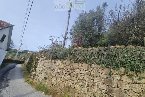 Farm i Ponte de Lima, Viana do Castelo, Ponte de Lima - € 60.000 | Ref: CAS_1875 - foto 19