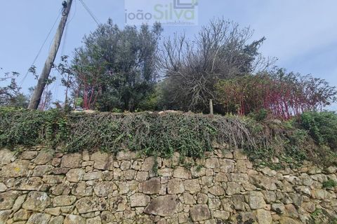 Farm i Ponte de Lima, Viana do Castelo, Ponte de Lima - € 60.000 | Ref: CAS_1875 - foto 20