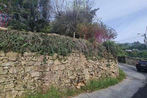 Farm i Ponte de Lima, Viana do Castelo, Ponte de Lima - € 60.000 | Ref: CAS_1875 - foto 21