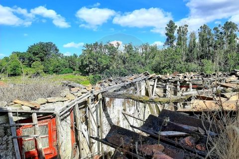 Landejendom i Arcos de Valdevez, Viana do Castelo, Arcos de Valdevez - € 28.500 | Ref: 1094-26 - foto 5