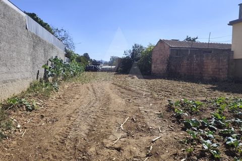Helårsgrund i Agueda, Aveiro, Agueda - € 32.500 | Ref: 1060956/25 AL - foto 1