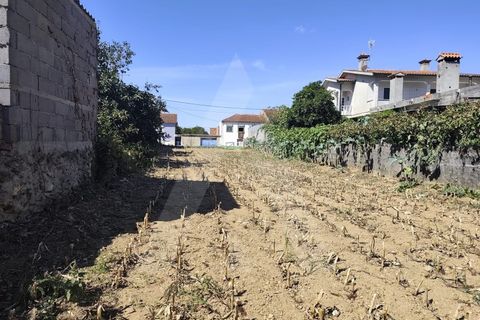 Helårsgrund i Agueda, Aveiro, Agueda - € 32.500 | Ref: 1060956/25 AL - foto 3