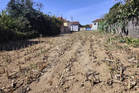 Helårsgrund i Agueda, Aveiro, Agueda - € 32.500 | Ref: 1060956/25 AL - foto 5