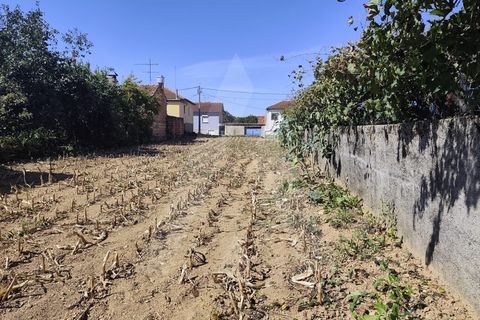 Helårsgrund i Agueda, Aveiro, Agueda - € 32.500 | Ref: 1060956/25 AL - foto 6